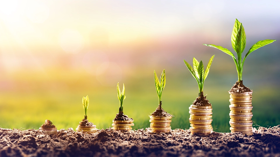 How Do I Grow My Pension?