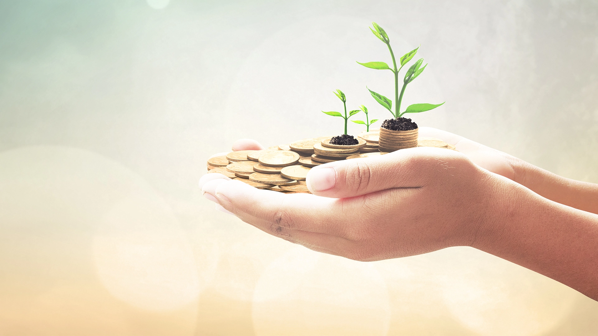 Financial Advice for Pensions