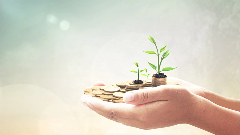 How Many Pensions Can I Have?