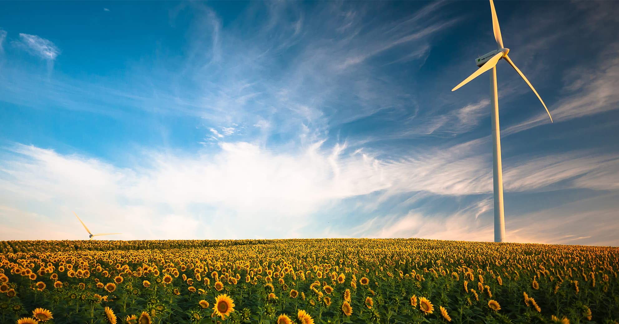 How Does Your Pension Affect the Environment